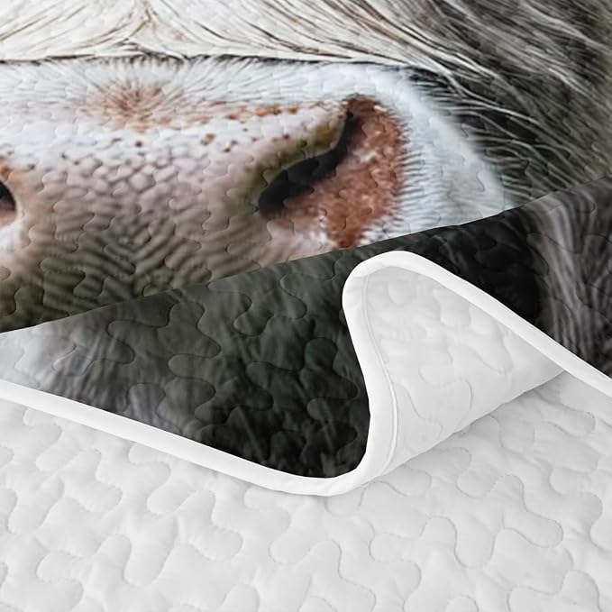 Yellow Grey