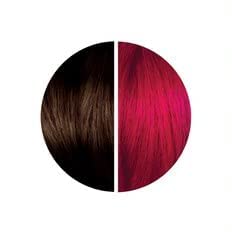 Strawberry & Dark Chocolate