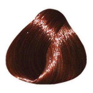 5T_Light Chocolate Brown