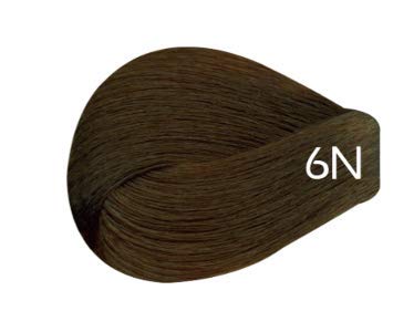 6N Dark Blonde