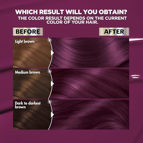 V2 Dark Intense Violet (Spiced Plum)