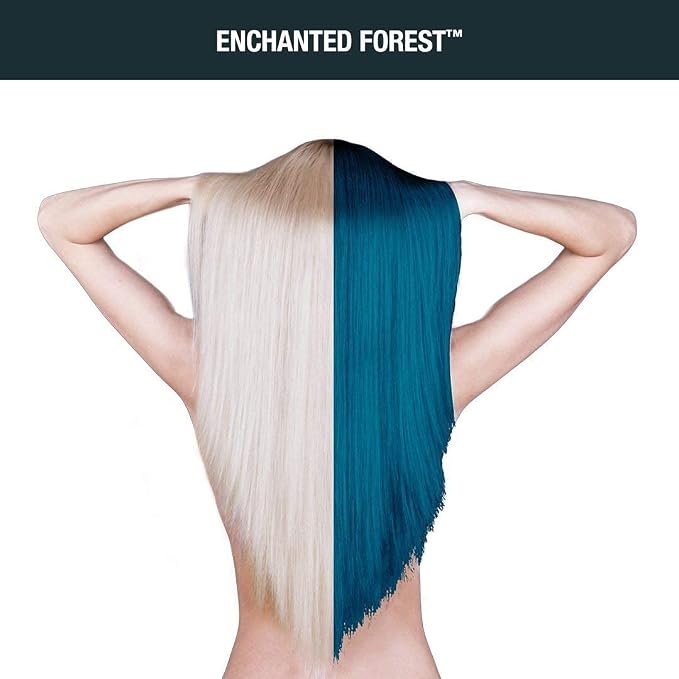 Enchanted Forest