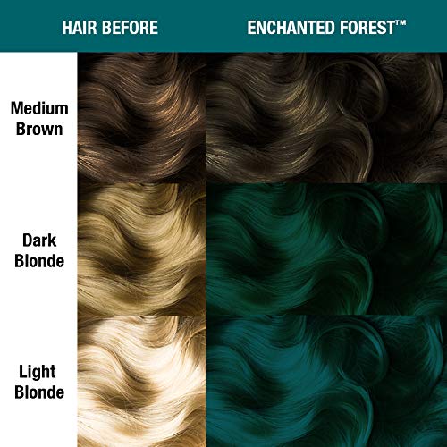 Enchanted Forest