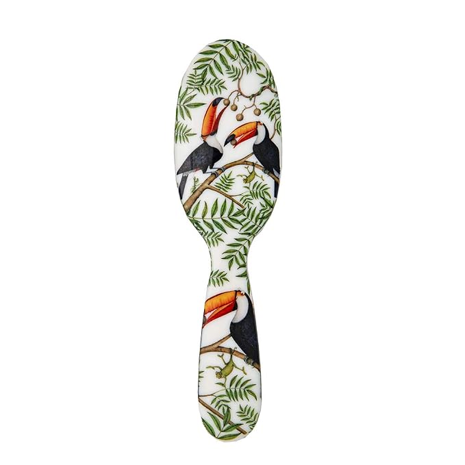 Toucans
