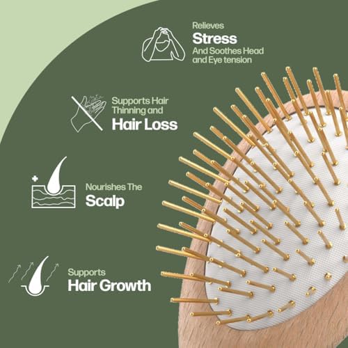 Beech Wood