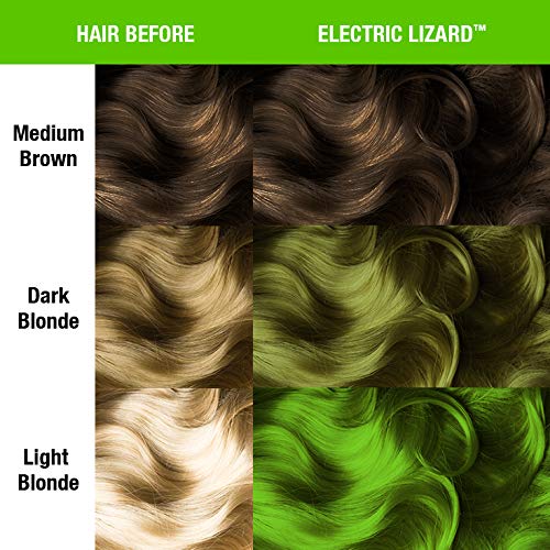 Electric Lizard