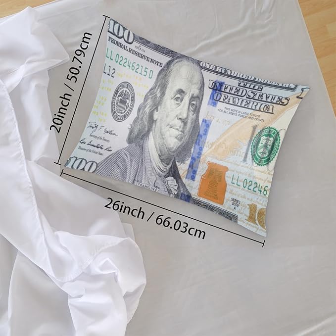 A08:100 Dollars Money