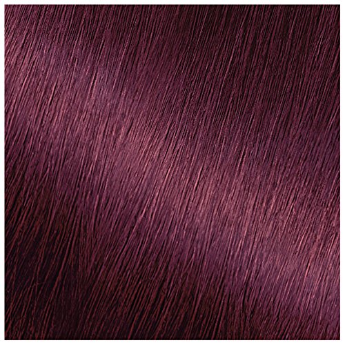 362 Darkest Berry Burgundy