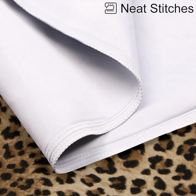 A Leopard Cheetah Skin