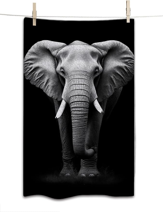 Elephant Grey