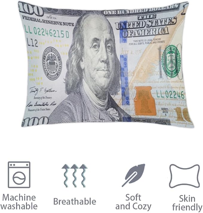 A08:100 Dollars Money