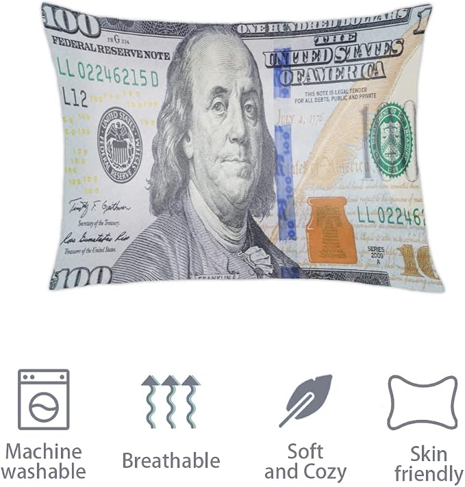 A08:100 Dollars Money