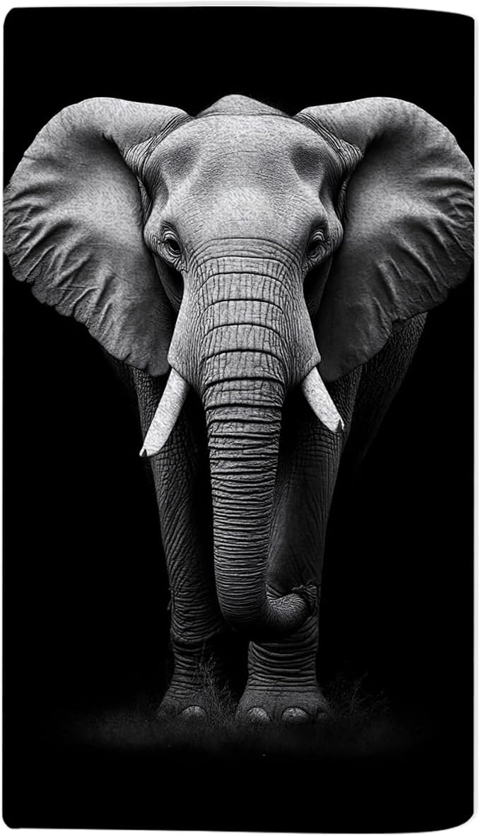 Elephant Grey