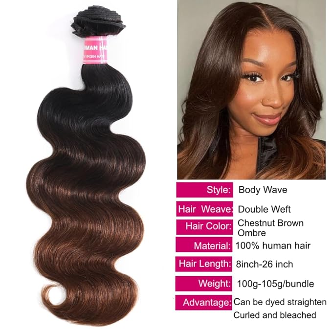Ombre Chestnut Brown