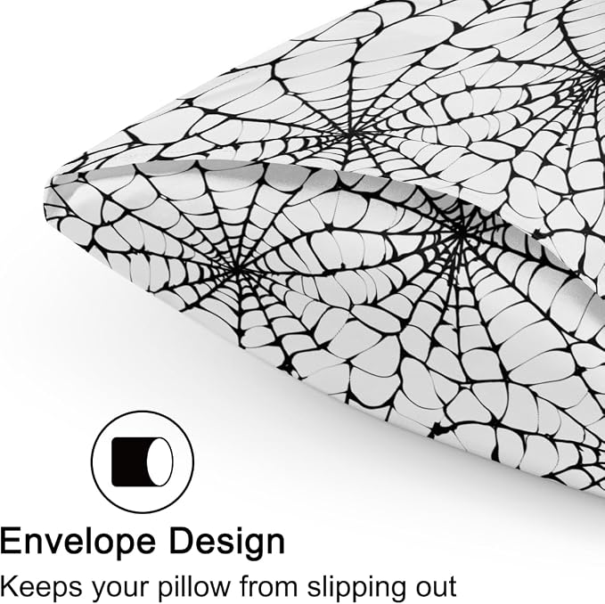 Black Web Spider