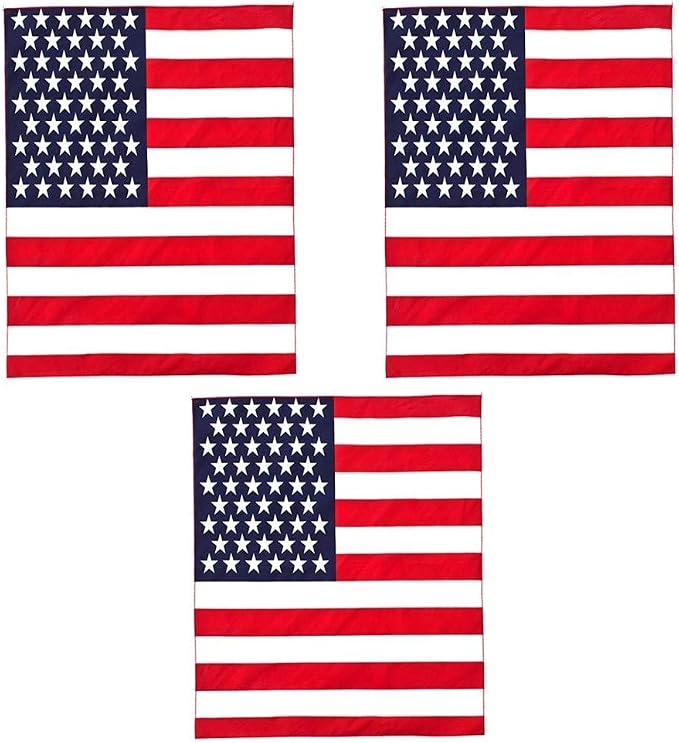Usa Flag