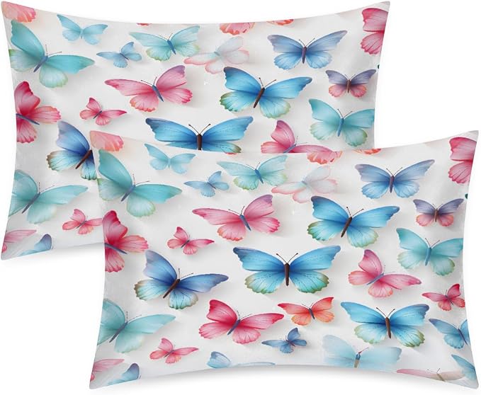 Pink Blue Butterfly