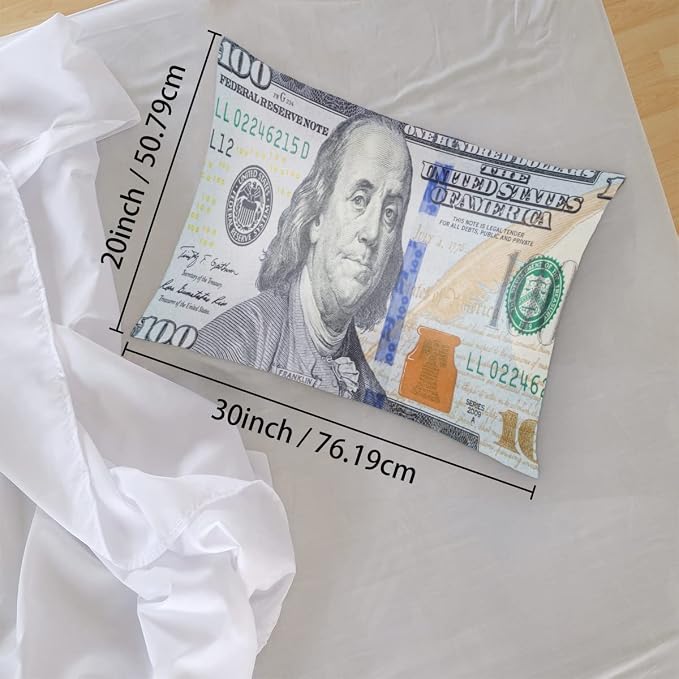 A08:100 Dollars Money