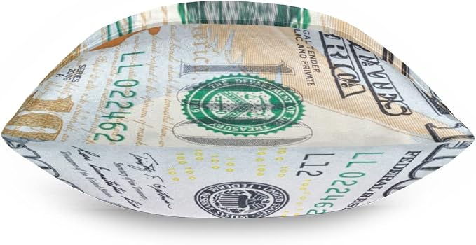 A08:100 Dollars Money