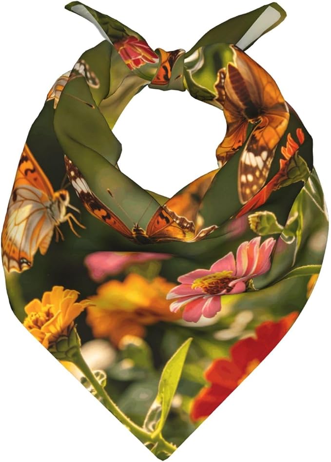 Beautiful Butterflies