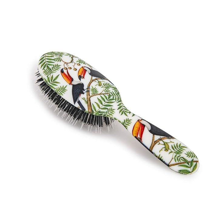 Toucans