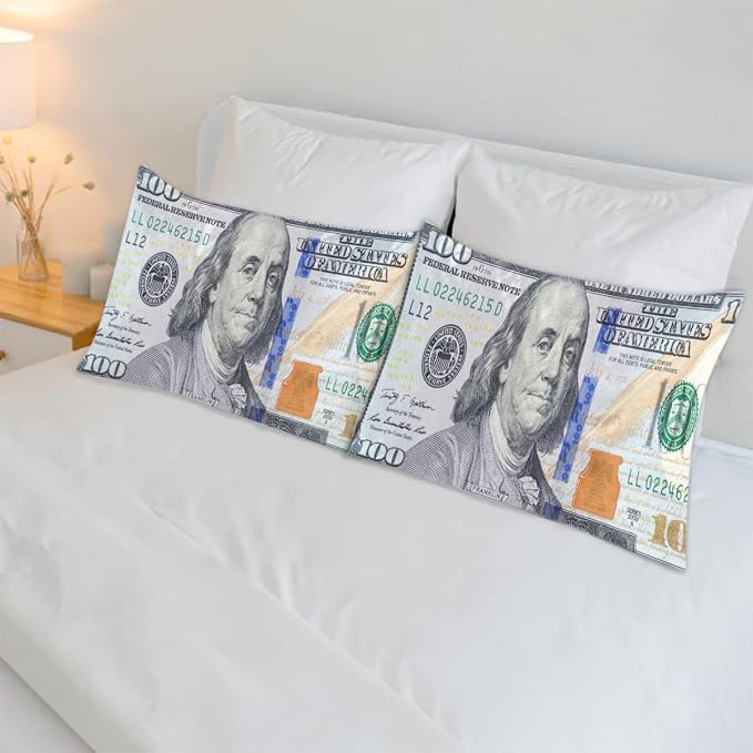 A08:100 Dollars Money