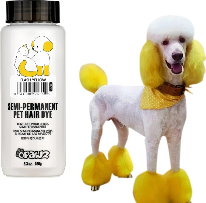 Flash Yellow