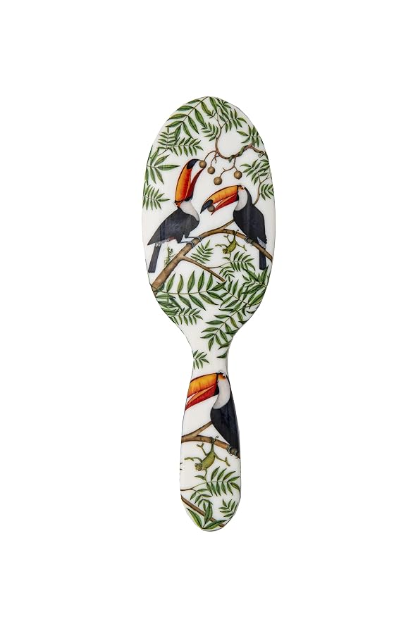 Toucans