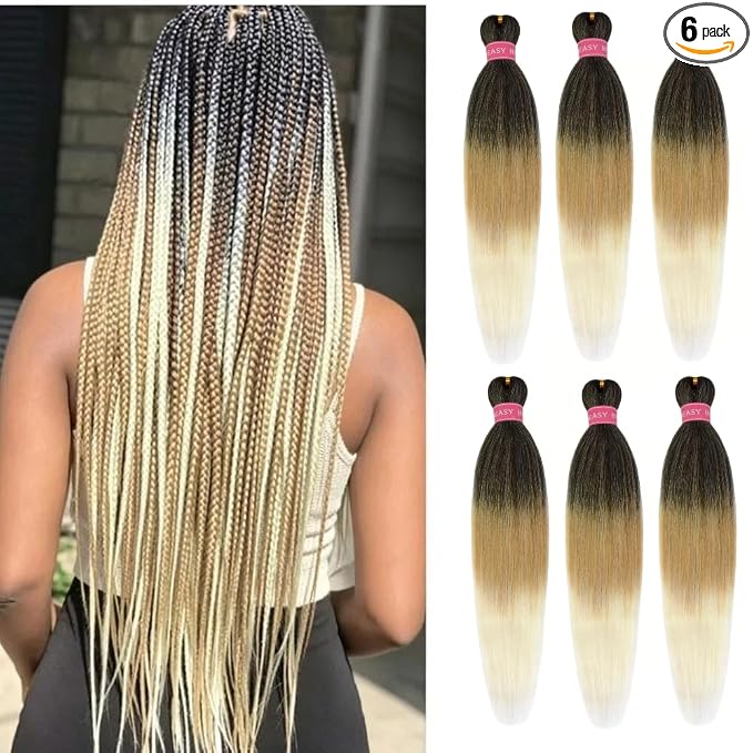Ombre 1B/27/613