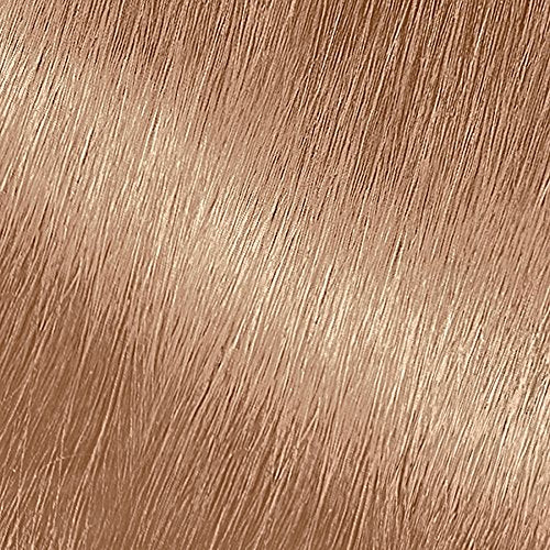 82 Champagne Blonde (Champagne Fizz)