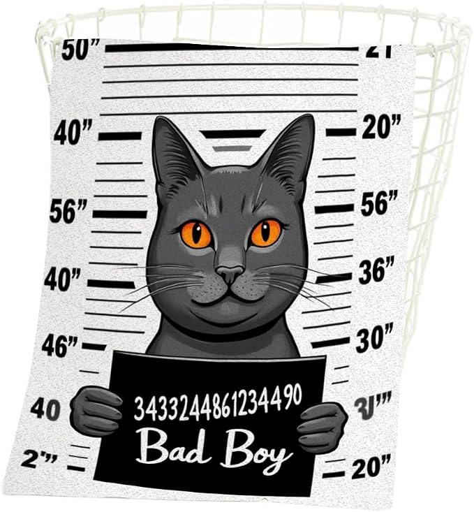 Criminal Cat