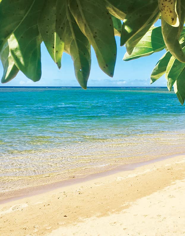Mango Coconut Guava