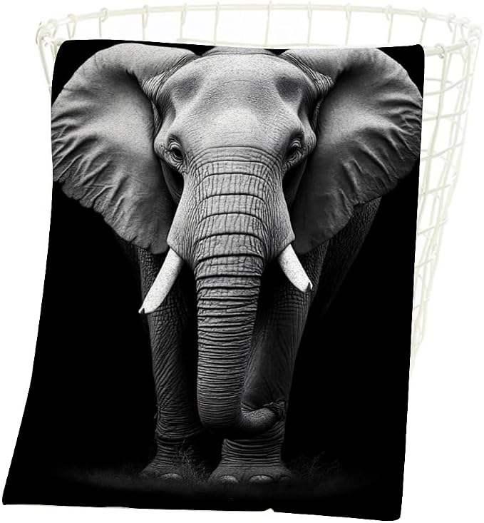 Elephant Grey
