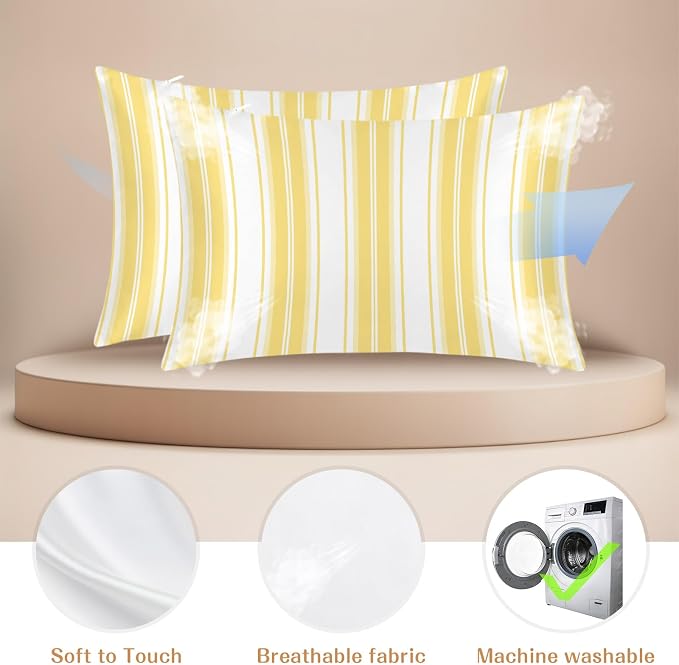 (Pack of 2)