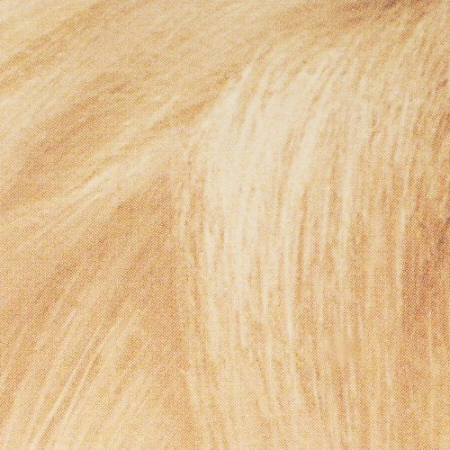 200 Bleach Blonde