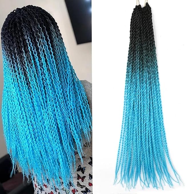 #1B
