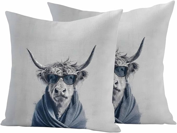 (Pack of 2)