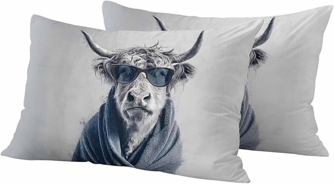 (Pack of 2)