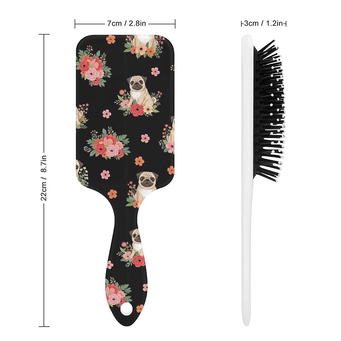 Picture (381)