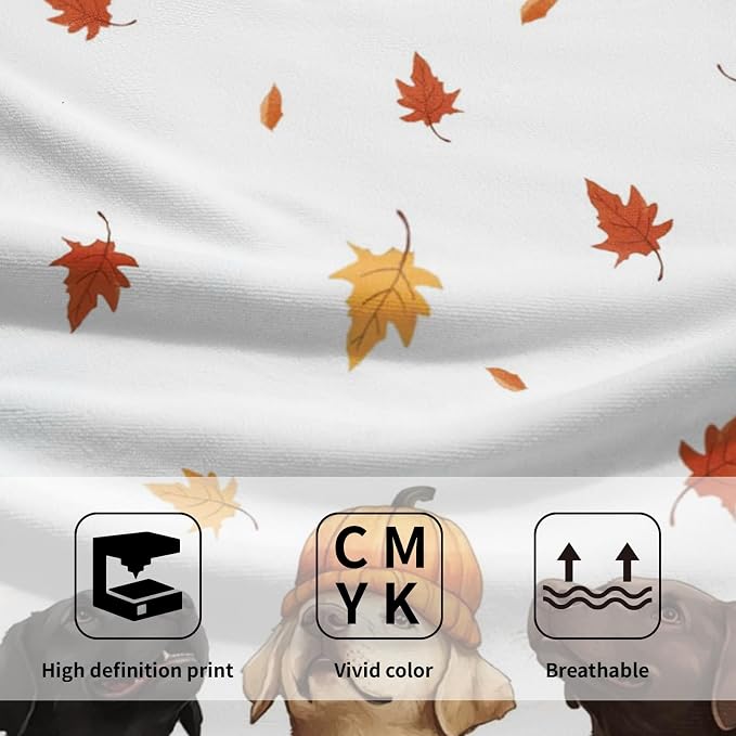 Fall Dog