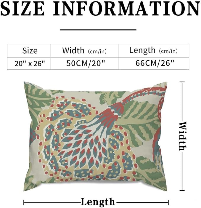 (Pack of 1)