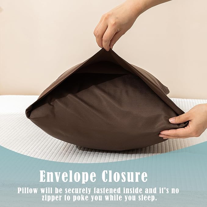 Chocolate Brown
