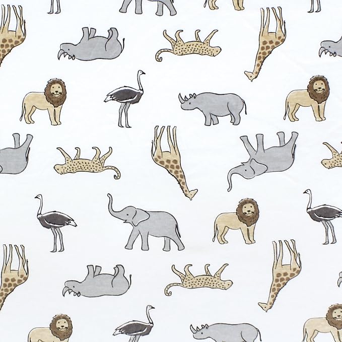 Modern Safari