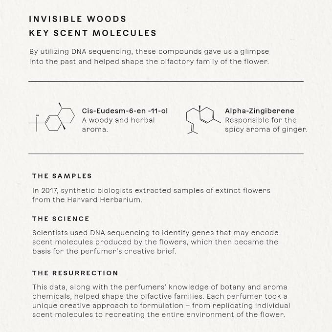 Invisible Woods