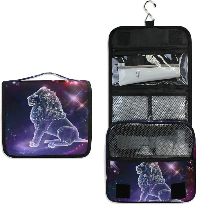 Leo Constellation Space