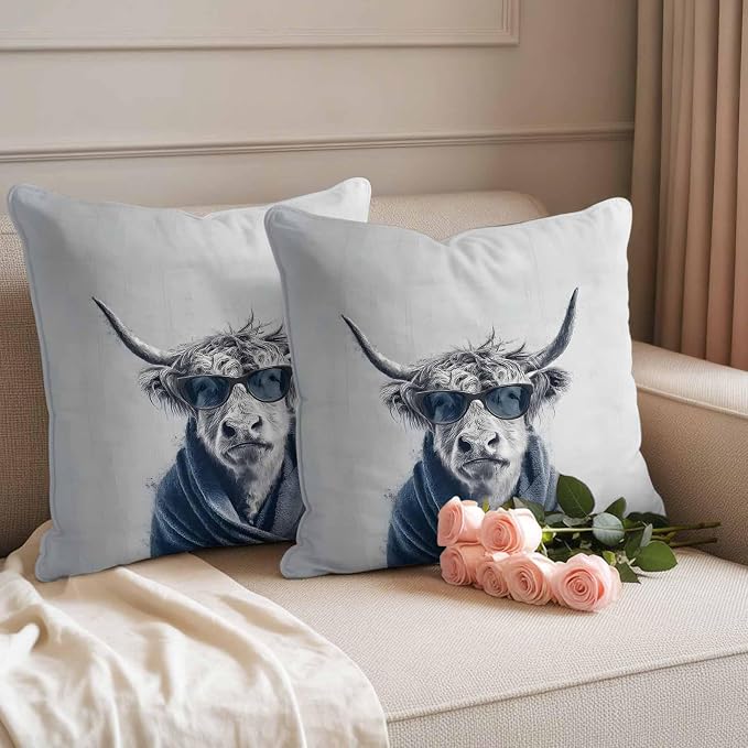 (Pack of 2)