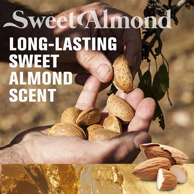 4PCS-Almond