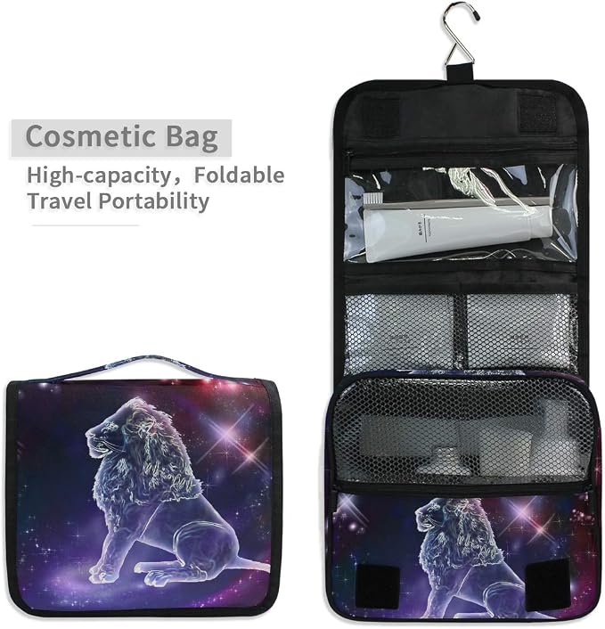Leo Constellation Space