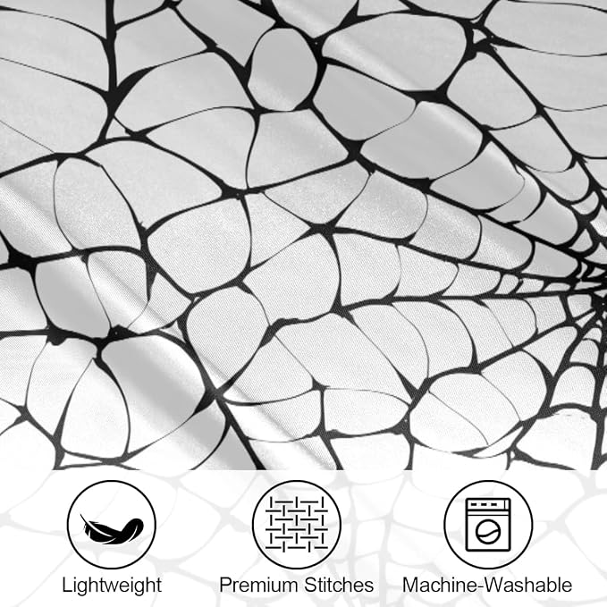 Black Web Spider