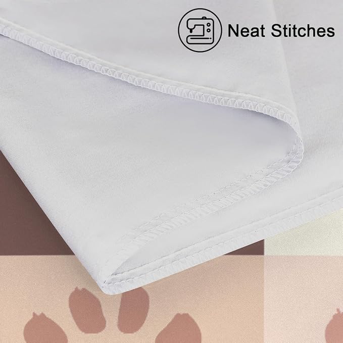 Cute Paw Print